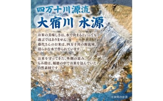 藤城さん家のもみ殻 10kg |もみ殻 籾殻 園芸 資材 土壌改良 ミルキークイーン コシヒカリ 10キロ 小分け 使い勝手 野菜 やさい作り 畑 保温 