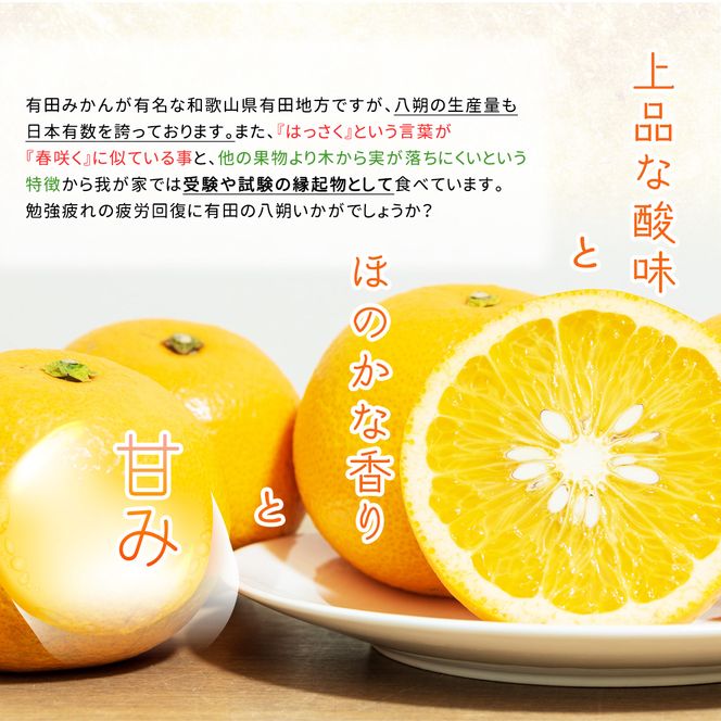 DI6032n_和歌山県有田産 八朔 3kg 秀品 (M～2Lサイズおまかせ)