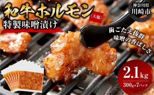 ホルモン 大腸 味噌漬け 2.1kg ( 300g × 7 ) 歯ごたえ抜群 小分け 使いやすい 味付き 調理便利 焼肉 野菜炒め ホルモン炒め 訳あり 不揃い 和牛 冷凍 配送時期が選べる 個包装 冷凍保存 アウトドア キャンプ おすすめ 人気