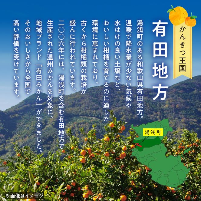 AB7373_Y_【直営限定】《先行予約・2027年3月発送》希少柑橘 ご家庭用 ブラッドオレンジ　サイズ混合/ご家庭用/2kg(傷み補償200g)