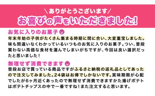 カルビー 堅あげポテト うすしお味 24袋 ( 2ケース ) 65g ポテチ お菓子 おかし 大量 スナック おつまみ ジャガイモ じゃがいも まとめ買い 数量限定 [DA015us]
