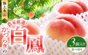 【予約受付】桃の王様 白鳳 特秀品 うれしい食べきり容量 3玉 / 桃 もも 白鳳 フルーツ 果物 くだもの ※2027年6月末頃～7月末頃に順次発送予定（お届け日指定不可） ※離島への配送不可 【kgr501-haku-ta3】