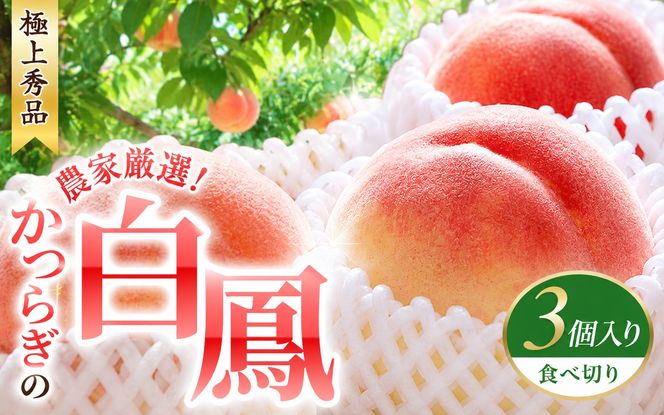 【予約受付】桃の王様 白鳳 特秀品 うれしい食べきり容量 3玉 / 桃 もも 白鳳 フルーツ 果物 くだもの ※2027年6月末頃～7月末頃に順次発送予定（お届け日指定不可） ※離島への配送不可 【kgr501-haku-ta3】