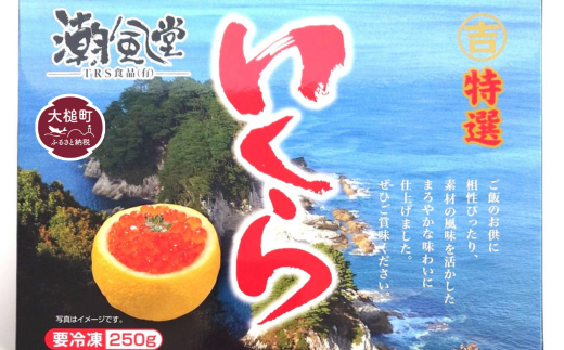 【2025年10月下旬より発送】塩いくら 250g