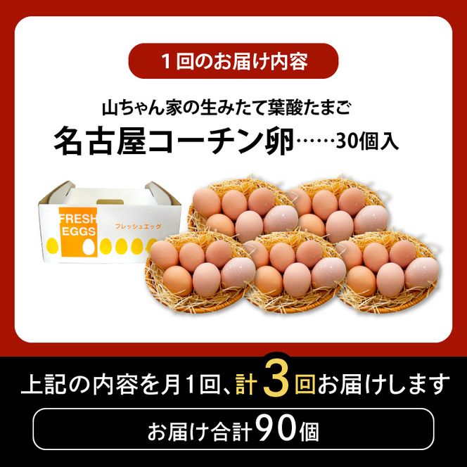 【3ヶ月定期便】【山ちゃん家の生みたて葉酸たまご】名古屋コーチン卵（30個入り）［132Y01-T］