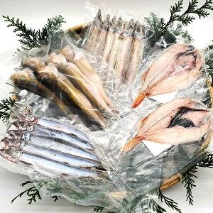 【ふるさと納税】山陰のお魚 干物詰め合わせ 地物 天然 酸化防止剤未使用【1158724】 魚 おかず セット ニギス ウルメイワシ イワシ ハタハタ 丸干し 一夜干し 天然塩 手造り 干物 安心 国産 兵庫県 新温泉町 送料無料