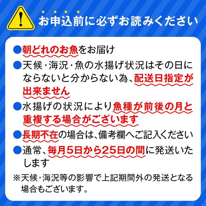 【12ヶ月定期便】大和海商　大和のこだわり漁師のお刺身　4人前 N072-G0143_2