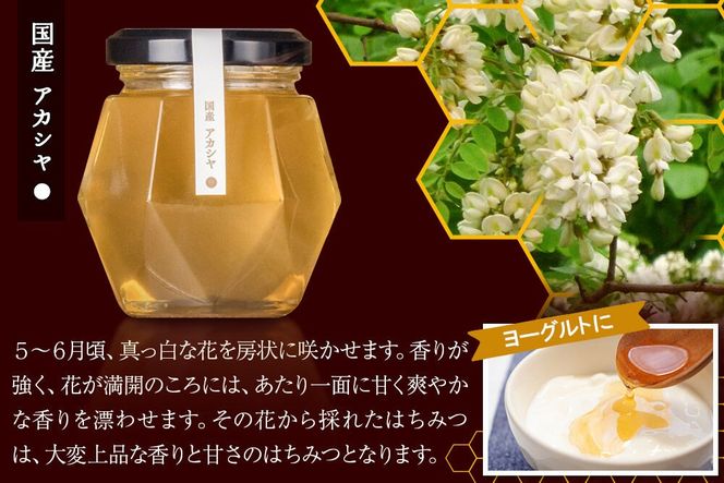 856シリーズ 国産 アカシヤ・トチ 100g 各1個 山のはちみつ屋 [はちみつ ハチミツ 蜂蜜 栃 とち アカシア]|02_bsk-200101