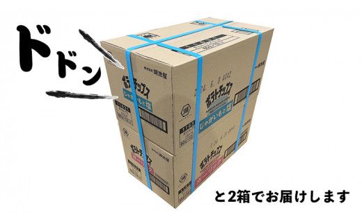 【 湖池屋 3ヶ月 定期便 】湖池屋 ポテトチップス 2種類アソート （じゃがいもと塩・ガーリック）（各12袋・計24袋 ×３回） ポテチ お菓子 おかし 大量 スナック おつまみ ジャガイモ じゃがいも まとめ買い スナック菓子 頒布会 数量限定 [DA048us]