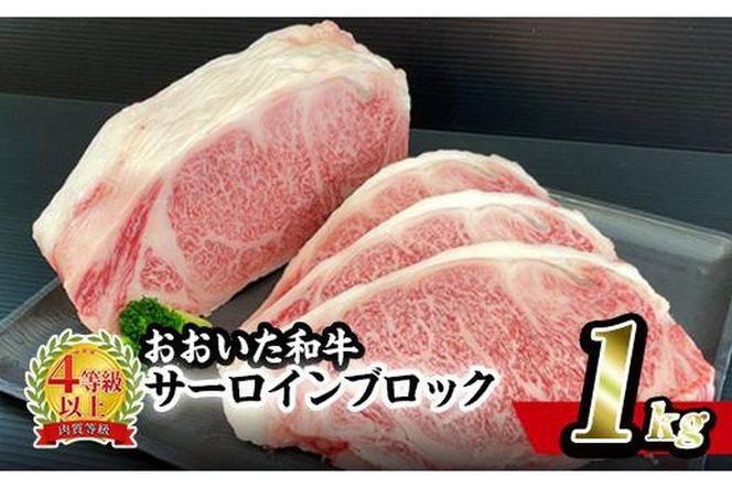 y啪sz a T[C ubN (1kg) Y L㋍ Xe[L BBQ o[xL[ y ₫ɂ  SŇb 啪 syBD190zy{{Y ()z