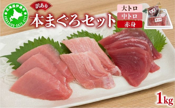 本マグロ（大トロ・中トロ・赤身）訳ありセット 1kg【ogm-025】