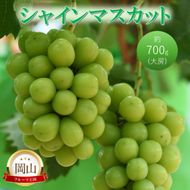 2026年 早期受付 高梁市産 シャインマスカット 大房 (約700g) ぶどう ブドウ 葡萄 果物 フルーツ