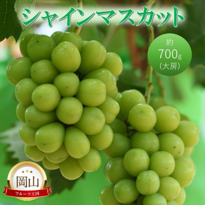 2026年 早期受付 高梁市産 シャインマスカット 大房 (約700g) ぶどう ブドウ 葡萄 果物 フルーツ