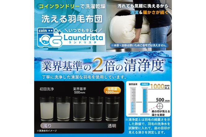 【春夏用】洗える! 肌掛け 羽毛布団 ダウンケット ダブル ホワイトグース93% 抗菌防臭 無地 グレー 羽毛 布団 ふとん 羽毛ふとん 掛け布団 寝具 夏用 コインランドリーで洗える [川村羽毛 山梨県 韮崎市 20745101]