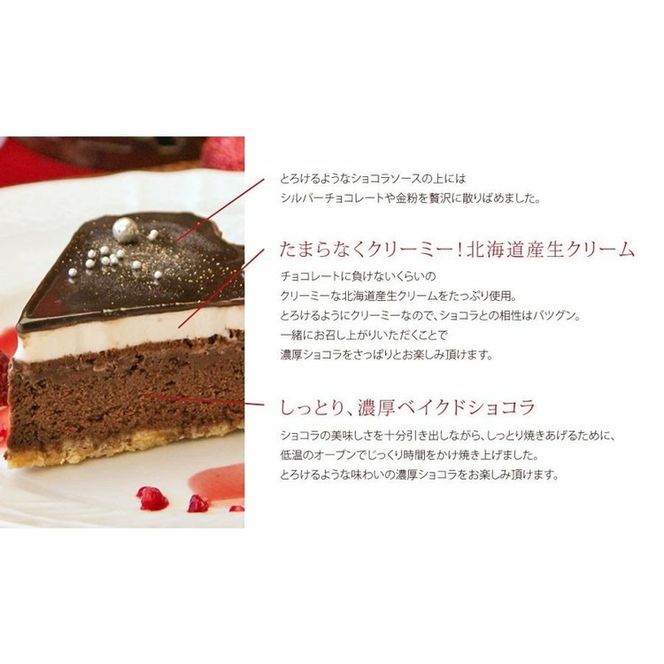 お誕生日ケーキ　星空のショコラ 5号 4-6人分　パティスリー天使のおくりもの ※離島への配送不可