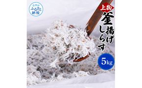【CF-R7hbk】MMK008　上物釜揚げシラス1kg×5個 合計5kg しらす シラス 釜揚げ 新鮮 塩分控えめ 赤ちゃん 子供 離乳食 しらす丼 海鮮丼 お茶漬け ごはん 冷凍配送 大量 しらすピザ 海鮮