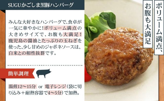 鹿児島の思い出の味 直行便　K342-001