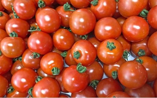 御殿場プチトマト あっこひめ 6パック（約1.2kg） ※～2026年7月発送