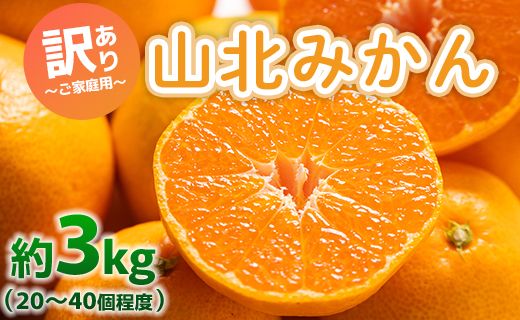 山北みかん わけあり 3kg 約20～40個入り 甘い - 果物 フルーツ 柑橘類 温州みかん ミカン 蜜柑 訳アリ わけあり 生産者応援 甘い yk-0063