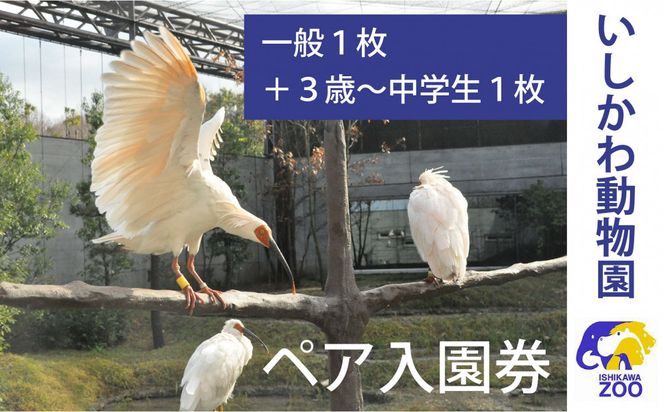 チケット いしかわ動物園ペア入園券（一般＋3歳以上中学生以下）石川県 能美市 172111_CX008