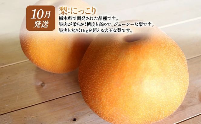 【 定期便 2回 】 大玉な梨 にっこり 2玉 約2kg と いちご市 鹿沼の 美味しい「い」「ち」「ご」とちあいか 15粒入り320g 2パック のフルーツ 定期便 ｜ 梨 いちご 鹿沼市 かぬま ※2026年10月～発送