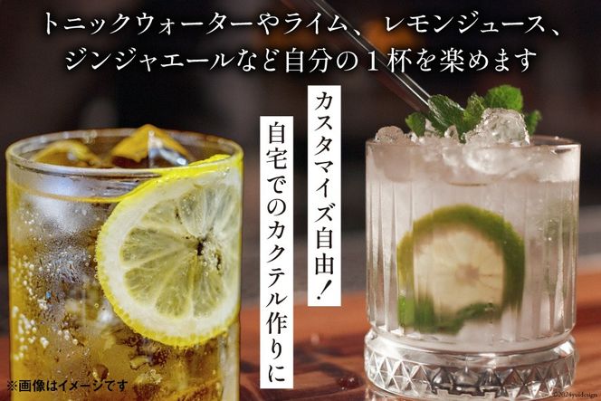ジン 山ジン 700ml ×1本 [サン.フーズ 山梨県 韮崎市 20743785] 酒 お酒 スピリッツ ジン 蒸留酒 国産 カクテル JIN ソーダ割り