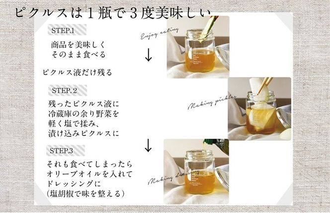 010B1749 【圧倒的企業努力】泉州水なすピクルス等おまかせ 6本セット 訳あり いずみピクルス NSW ＜スピード発送＞