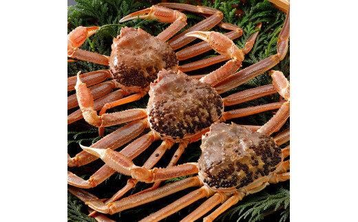 y挧khz754.yz2025N11  tɁyuh^Otz 3ti1kg×3tj 313726_BS003VC01