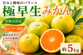 【先行予約】こだわりの極早生みかん 約5kg 農家直送 有機質肥料100% サイズ混合 ｜ みかん 極早生 早生 柑橘 果物 くだもの 果実 フルーツ 和歌山 有田