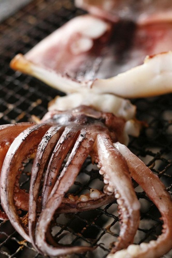 柔らか肉厚のスルメイカ一夜干し 3枚 魚貝類 イカ いか スルメイカ お酒 つまみ 特大 新鮮 保存 冷凍 国産 送料無料 酒の肴 酒のつまみ 