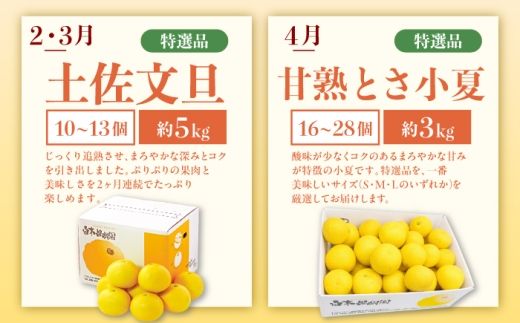 【6回定期便】文旦＆小夏バラエティ定期便 土佐の柑橘フルコース〈水晶文旦・温室文旦・土佐文旦・甘熟とさ小夏・土佐小夏〉/ 文旦 ぶんたん ブンタン 土佐文旦 水晶文旦 温室文旦 柑橘 フルーツ 果物 くだもの 定期便【白木果樹園】 [BQAI062]