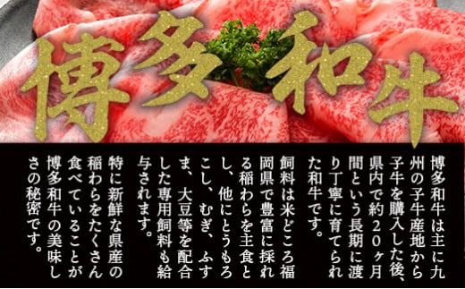訳あり 博多和牛 しゃぶしゃぶ すき焼き 500g 10p 計5kg [MEAT PLUS 福岡県 宇美町 um40azp010022] 牛肉 肉 肩ロース 肩バラ モモ肉 バラ肉 和牛 牛しゃぶ 牛すき