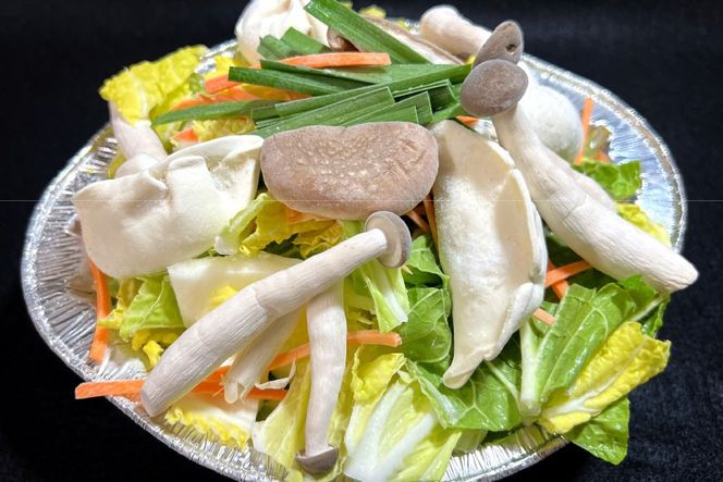 AI384 鍋 老舗料理店 水餃子鍋 2人前 [ダイニング味遊 長崎県 島原市 水餃子 鍋セット なべ なべセット お鍋 おなべ お鍋セット 中華風 ]