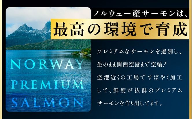 kgp0079 ノルウェー産 プレミアム アトランティックサーモン 1kg 【2～5柵 訳あり サイズ不揃い 上質 刺身 海鮮丼 サラダ 冷凍 物価高応援】