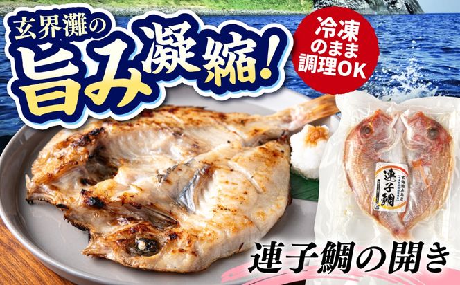 糸島玄界灘産 連子鯛 1枚  糸島市 / 有限会社 糸島海産 / 開き / 肴[AMR011]