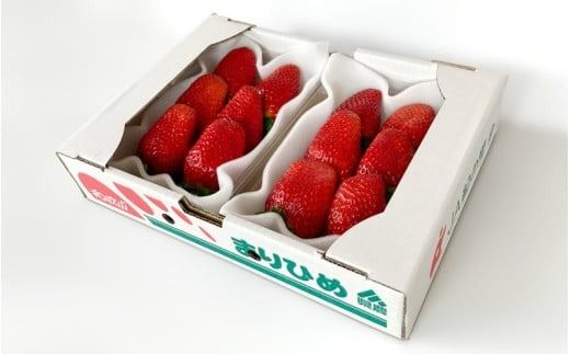 【先行予約】特大まりひめ いちご 朝摘 6個～11個入り×4パック 2026年1月中旬～2026年3月末頃に順次発送予定（お届け日指定不可）/ いちご 苺 まりひめ 和歌山 フルーツ 果物 くだもの【kiy004A】