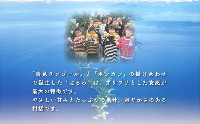 【先行予約】【数量限定】はるみ（生果5kg）※離島への配送不可（2026年1月下旬より順次発送予定） IKTBD009