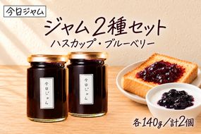 今日ジャム2種セットA 各1個 ハスカップ  ブルーベリー | 無添加 北海道産 ギフト 朝食 パン トースト ヨーグルト 詰め合わせ 食べ比べ ご褒美 手作り デザート 送料無料 北海道 滝川市