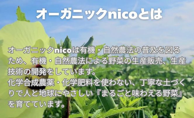 【オーガニックnico】有機栽培のいちご狩り1名分(2026年3月～4月開催)｜京都 大原野 いちご 食べ放題 人気 おすすめ [ 有機いちご 40分いちご狩り＋お土産付き 幼児は無料 人気 おすすめ 果物 フルーツ フルーツ狩り ふるさと納税 ] 261009_B-SR04