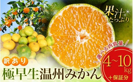 みかん [先行予約] 選べる容量 訳あり 極早生温州みかん 約4kg 6.5kg 10kg +痛み保証分 2S〜3L サイズおまかせ [2026年9月下旬から10月中旬までに順次発送予定] / 家庭用 ご家庭用 訳アリ わけあり ミカン 蜜柑 柑橘 果物 くだもの フルーツ 極早生 温州 夏みかん[njb691A_cho]