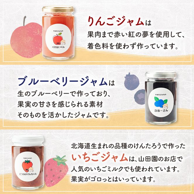 北海道 仁木町産 りんごジュース 720ml×1本 ジャム 3種 （りんご・ブルーベリー・いちご） [ ジュース りんご リンゴ いちごジャム 林檎ジャム ブルーベリー 苺 ]