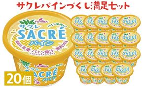 サクレパインづくし満足セット　20個｜アイス かき氷 シャーベット デザート ※着日指定不可 ※離島への配送不可◇