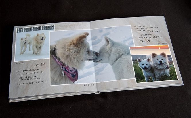 わさおを偲ぶ写真集 オリジナル写真集 