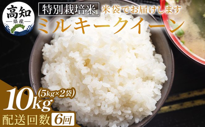 ミルキークイーン 定期便 ６回 特別栽培米 ミルキークイーン 10ｋｇ 令和８年産 - 定期便 お米 米 白ご飯 ごはん 精米 お弁当 おにぎり おむすび 炊き込みご飯 美味しい 防災 非常食 高知県 香南市 常温 Wsr-0009