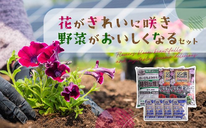花がきれいに咲き、野菜がおいしくなるセット ANBO001