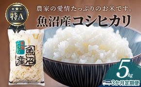 【3か月定期便】魚沼産コシヒカリ5kg