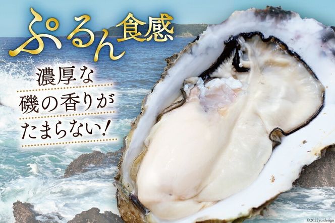 【期間限定発送】 TVで紹介！ 牡蠣 大粒 3～4年モノ 生食 殻付き牡蠣 約3kg(約9-12個入) [住喜水産 宮城県 気仙沼市 20564160] 期間限定 冷蔵 新鮮 濃厚 真牡蠣 カキ かき 生牡蠣 魚貝類 生牡蠣 貝 海鮮 魚介類 なべ カキフライ 牡蠣ご飯 魚介