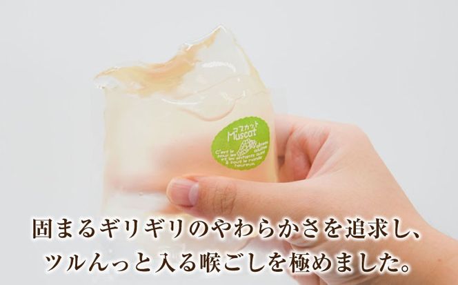 【2026年5月〜発送】【固まるギリギリのやわらかさを追求】ぷるぷるゼリー 12個入り / ゼリー ぜりー フルーツゼリー 果実ゼリー 食べ比べ / 南島原市 / 松本製菓舗[SFV002]