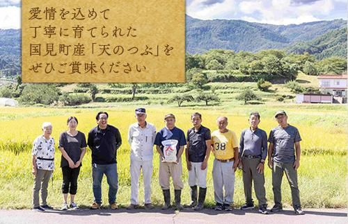 【令和8年産】【全5回定期便】米　国見町産　天のつぶ  10kg（5kg×2袋）　5回定期便 ※2026年10月～発送