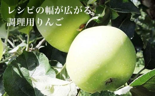 【訳あり】 クッキングアップル ブラムリー 約5kg 12～18玉 ［小布施屋］ 林檎 リンゴ フルーツ 果物 傷 キズ 不揃い 規格外 家庭用 令和7年産 【2025年8月下旬～10月発送】 ［A-47］